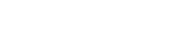 Namseylin logo 200x60 W